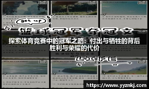 6686体育官方网站